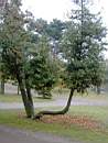 Promenad 2003-11-02 002.jpg